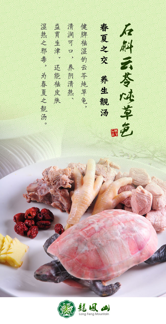 石斛云苓燉草龜